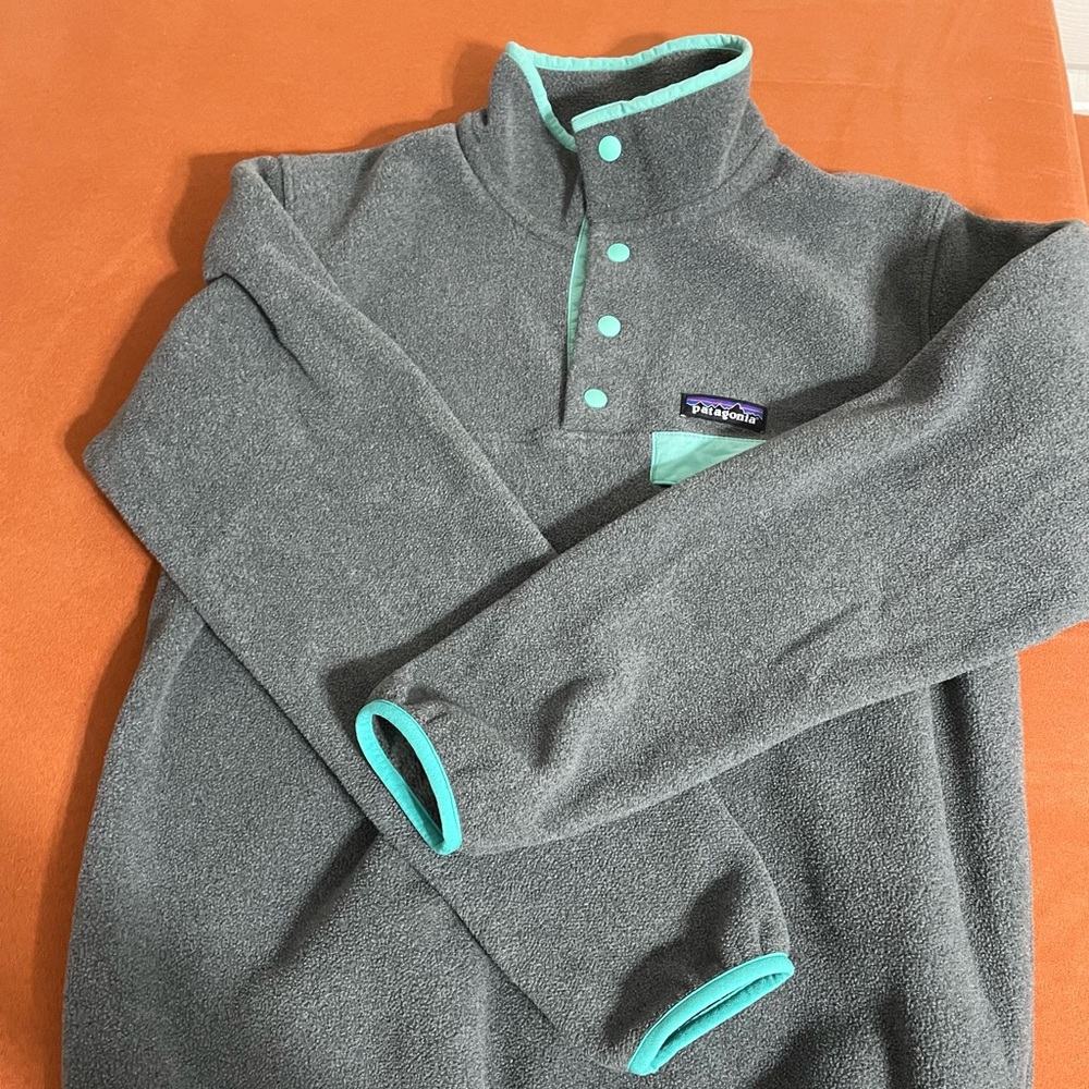 Patagonia Synchilla Fleece Pullover